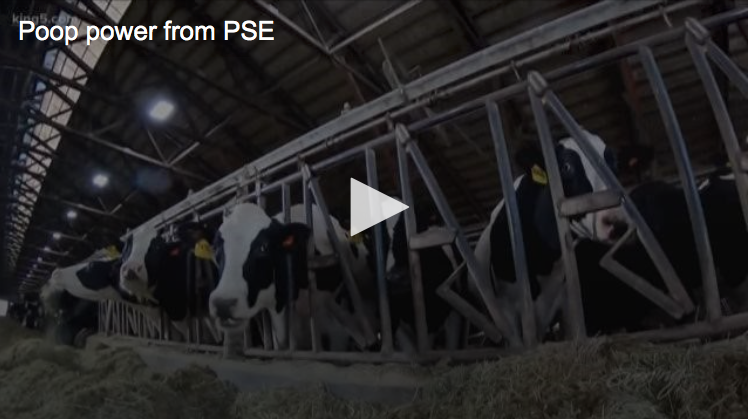 A photo of Edaleen Dairy to share about their anaerobic digester and how turn it into clean-burning biogas.
